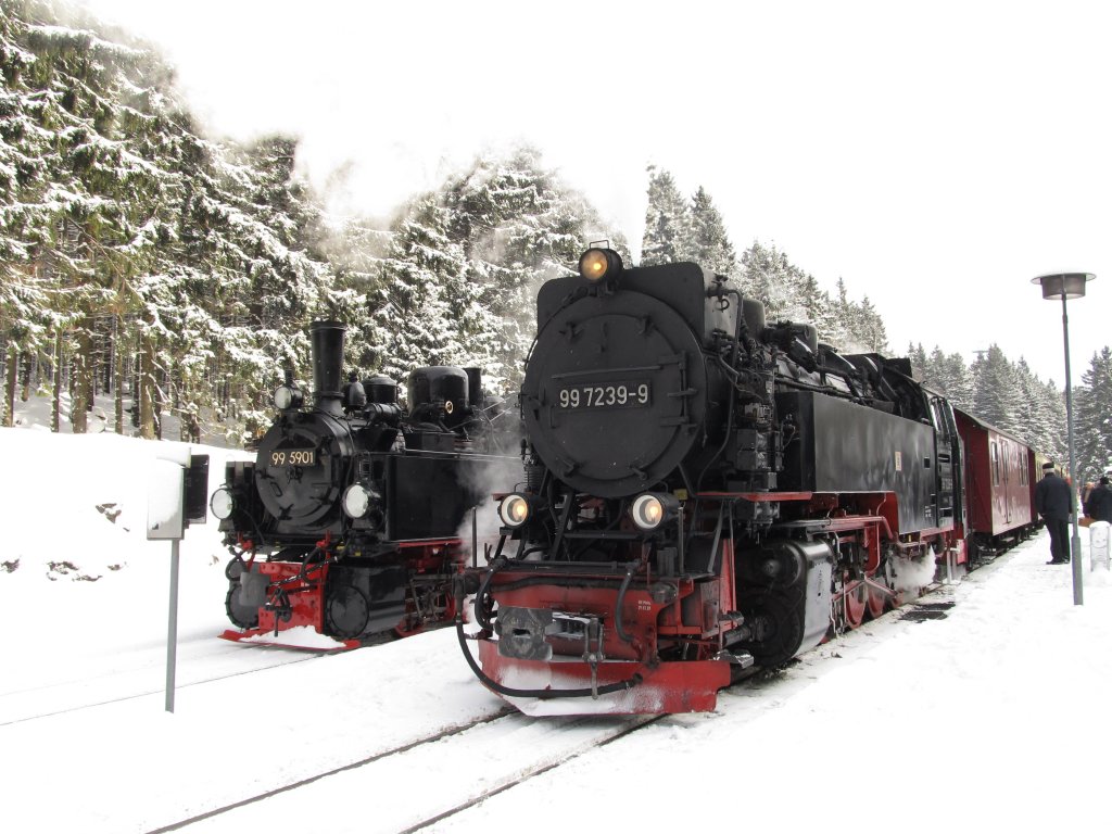 99 5901 und 99 7239-9 stehen am 09.02.2013 gemeinsam im Bahnhof Schierke.
