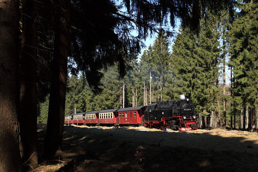 99 7236-5 am hchsten Punkt der Harzquerbahn. April 2010