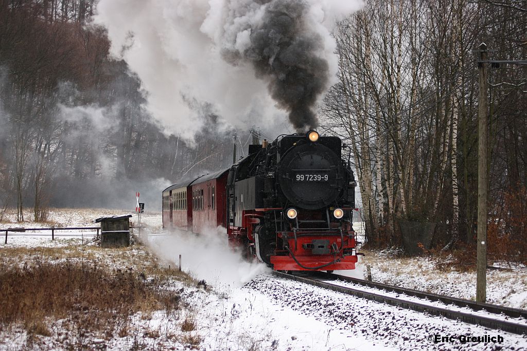 99 7239 mit einem Dampfzug am 21.01.2012  bei Wernigerode Hasserode.