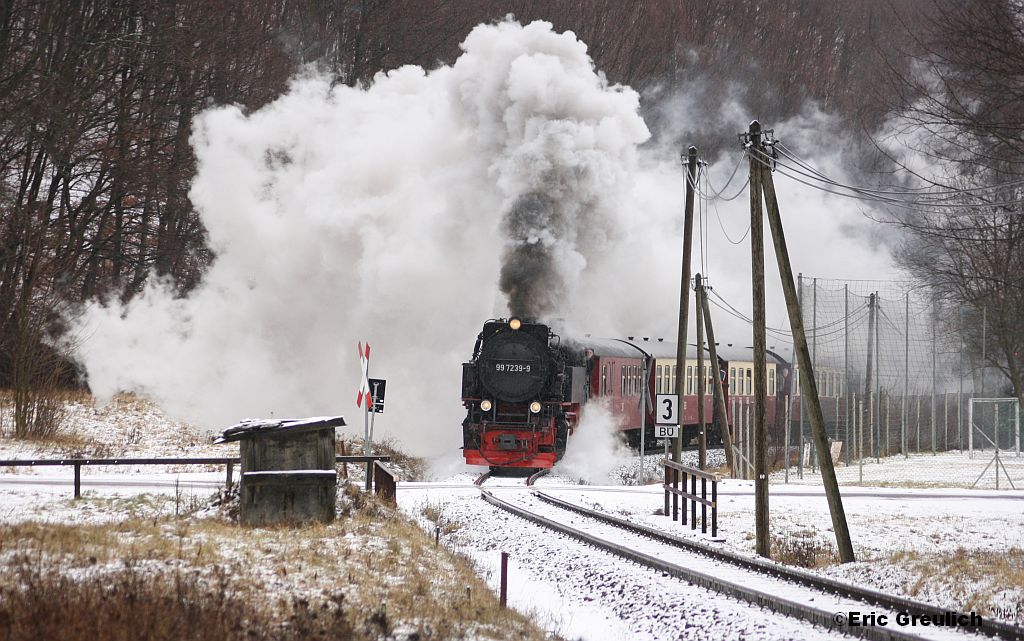 99 7239 mit einerm Dampfzug zum Brocken am 21.01.2012 bei Wernigerode Hasserode.