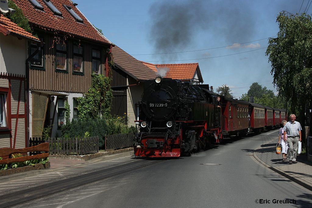 99 7239 zieht am 25.7.2010 einen Personenzug zum Brocken und passiert hier gerade die Ortsdurchfahrt von Wernigerode.