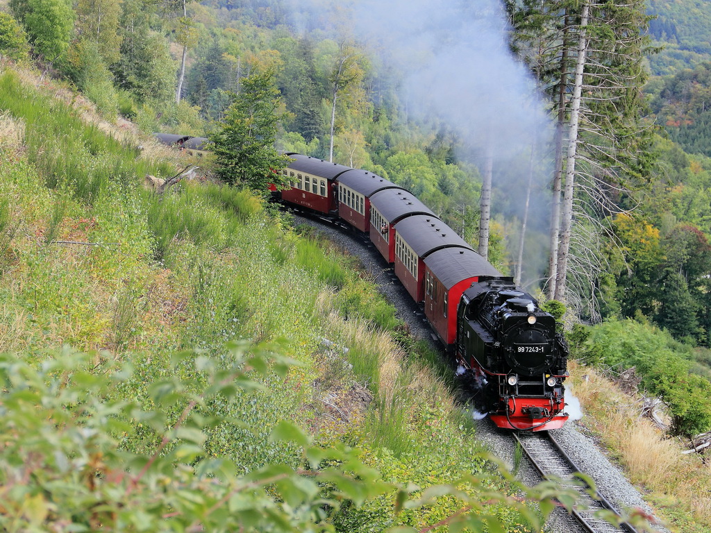 99 7243-1 mit HSB 8925 am 22. September auf der Fahrt zum Brocken unmittelbar nach dem passieren des einzelnen Tunnel auf der Strecke der HSB zwischen Steinerne Renne und Drei Ahnen Hohne gesehen vom Bahnparallelweg. 