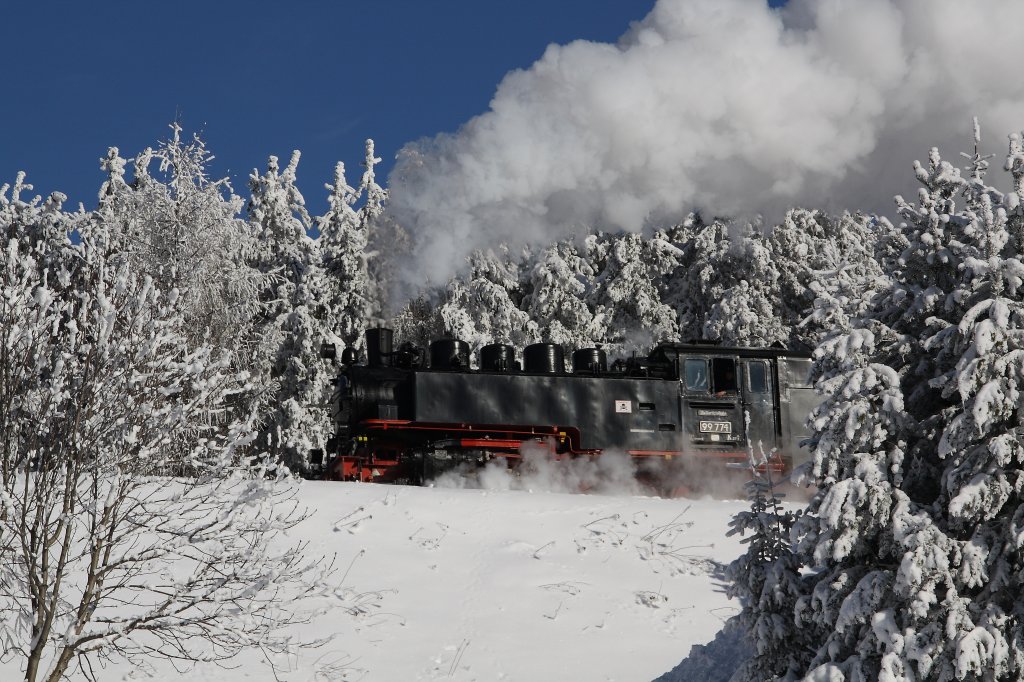 99 771 hat am 13.01.2010 gleich die Endstation Oberwiesenthal erreicht.