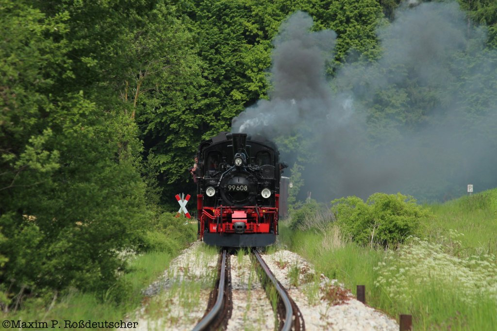 99 788 und 99 608 zwischen Wennedach und Reinstetten. chsle Schmalspurbahn am 19.5.2012.