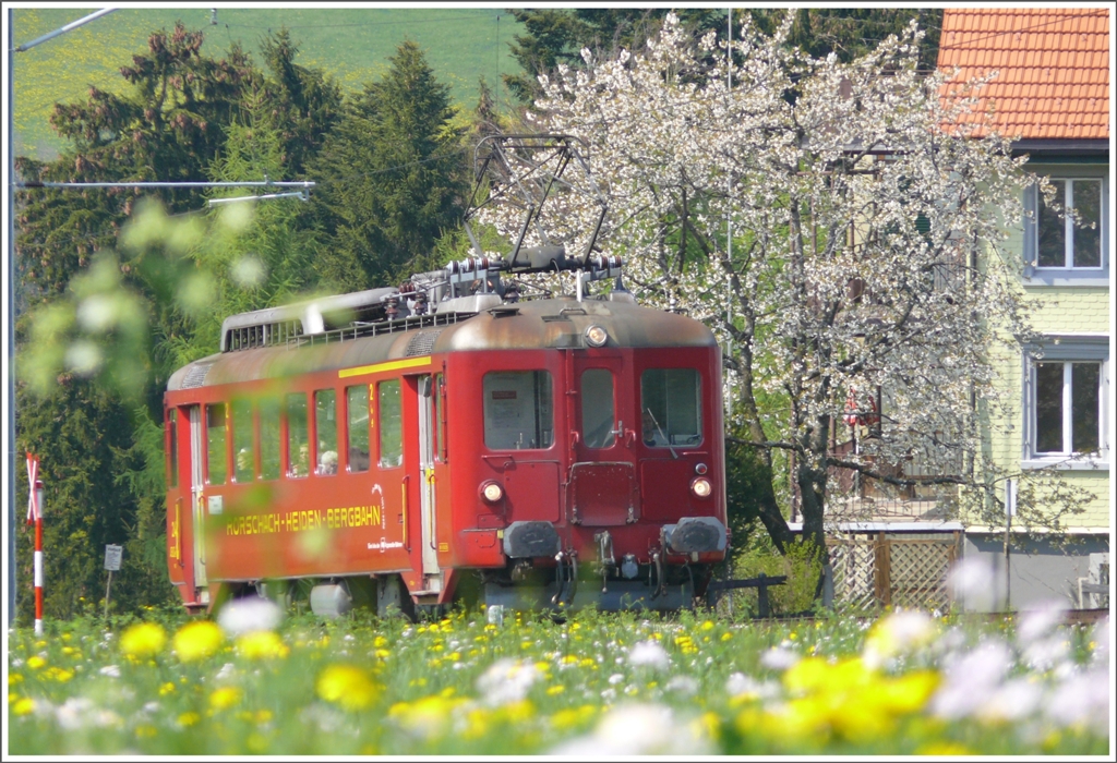ABDeh 2/4 24  in voller Bltenpracht kurz vor Heiden. (27.04.2010)