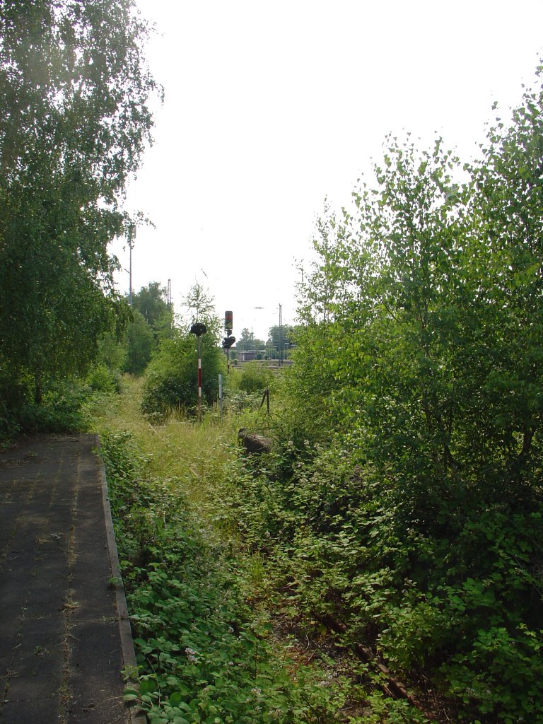 Aber auch das ist ein aktuelles Bild aus dem Bahnhofsbereich Rheda-Wiedenbrck. Von der ehemaligen Gterabfertigung schauen wir durch viel Grn auf die Bahnsteige fr den Personenverkehr.