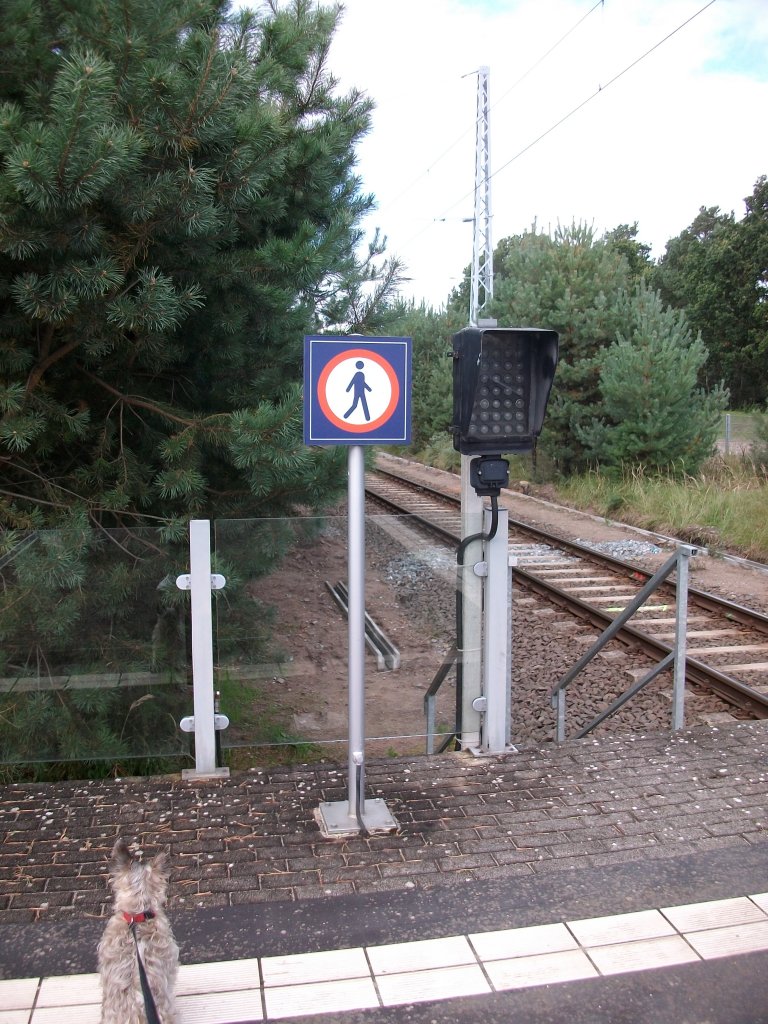 Abfahrtssignal in Binz.Erst am Computer sah ich das Strolch auch mal wieder im Bild sa.