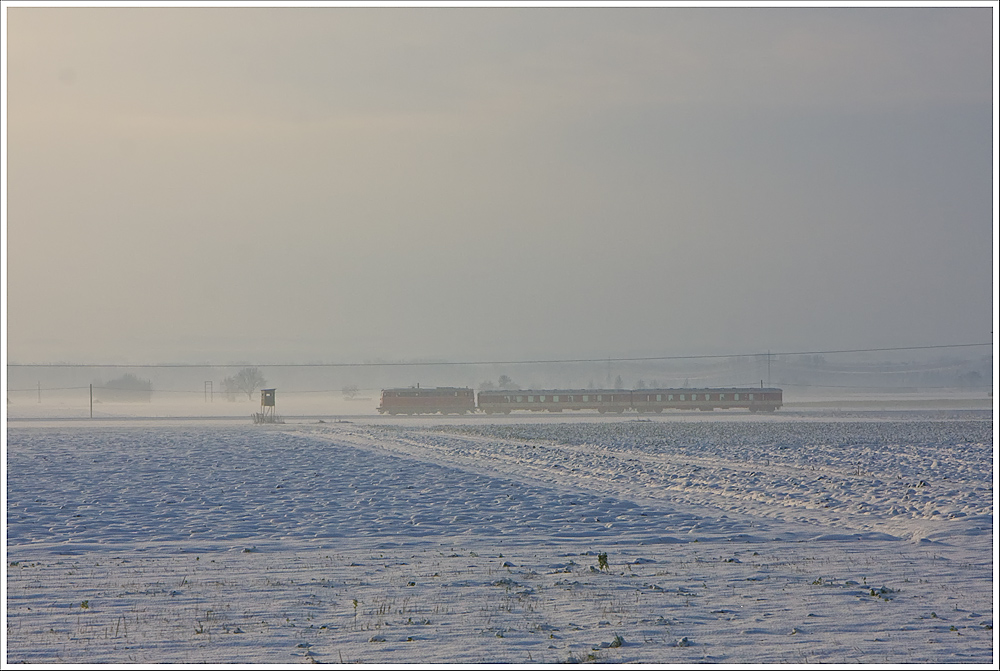 Abschiedsfahrt auf der Donauuferbahn mit der 2043.005 und 2 Schlierenwagen auf dem Weg nach Baumgartenberg. 27.11.2010 (D14367 Linz-Spitz)
Dank an die Veranstalter fr diese Sonderzug!