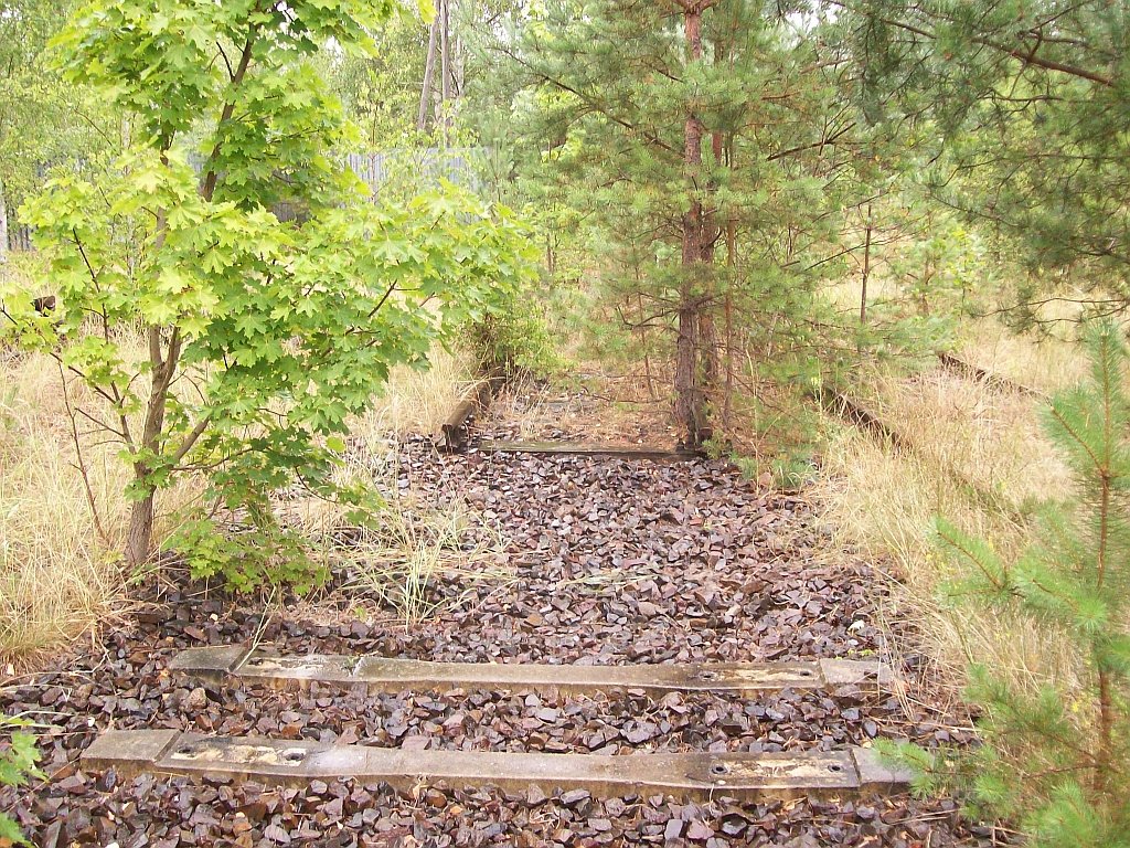 Abzweig vom Bahnhof Finow zum Messingwerk 10.08.2008