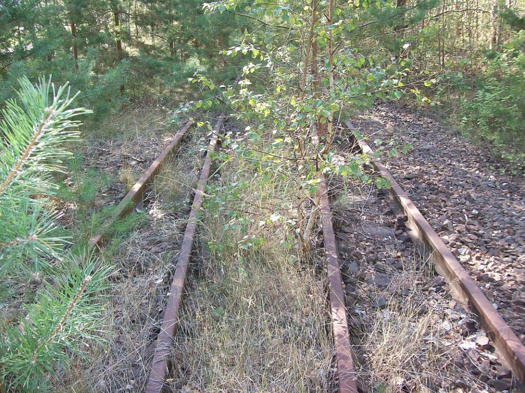 Abzweig zum Kraftwerk Finow bei Km 3,75
31.08.08