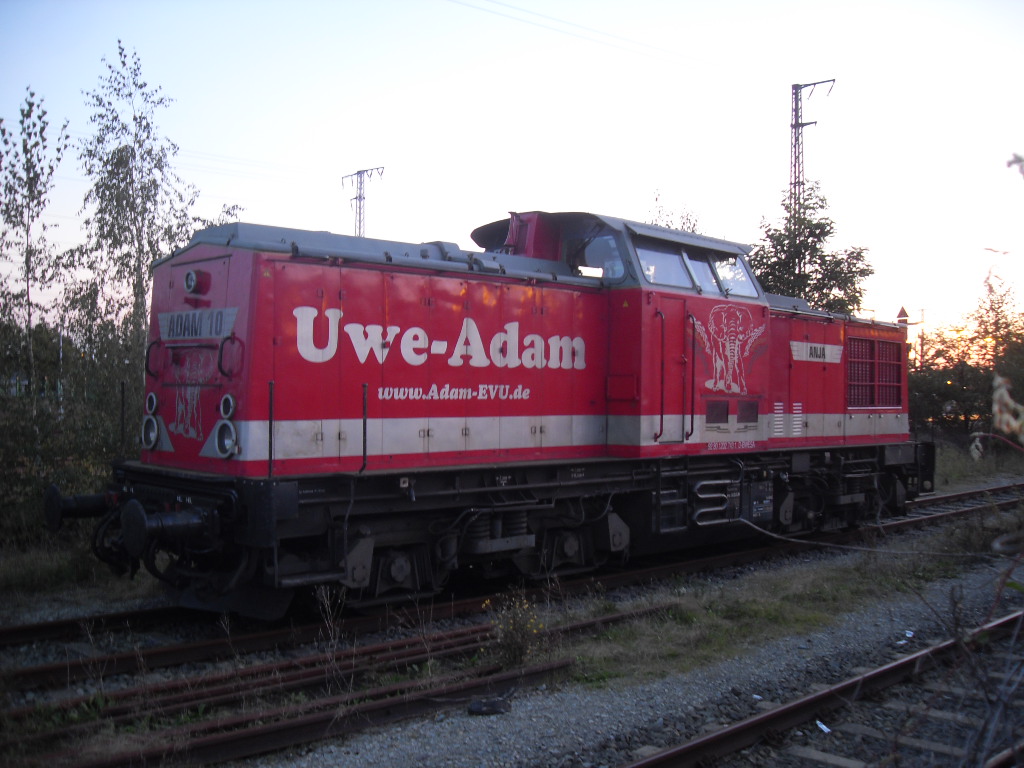 Adam 10 Anja  (ex 202 743-1;DR 110 743-2 ) stand am 20.09.2011 in Stendal.
