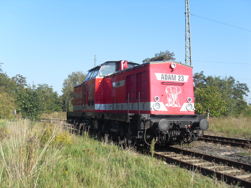 Adam 23 Judy  (ex 202 240) stand am 25.09.2011 in Stendal.