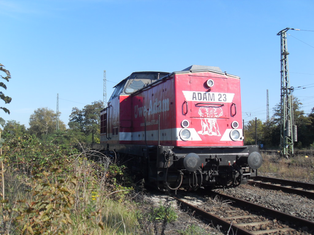 Adam 23 Judy  (ex 202 240) stand am 02.10.2011 in Stendal.
