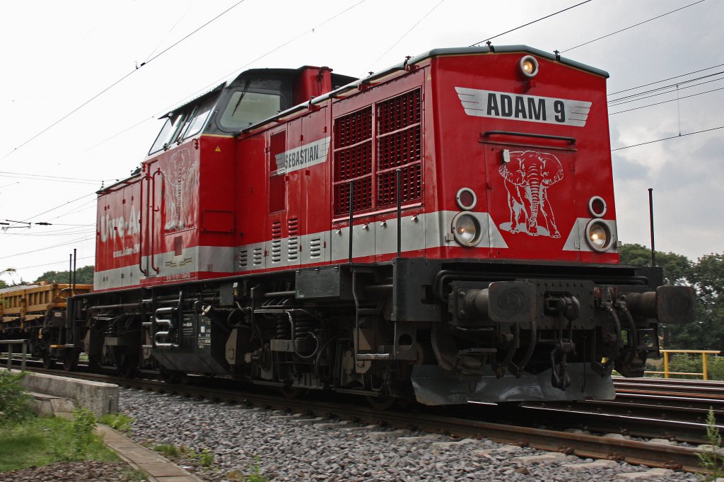 Adam 9 am 13.8.10 in Duisburg-Neudorf