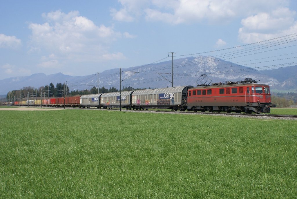 Ae 6/6 11424 zieht am 19.4.10 einen langen Gterzug von Luterbach-Attisholz Richtung Deitingen.

