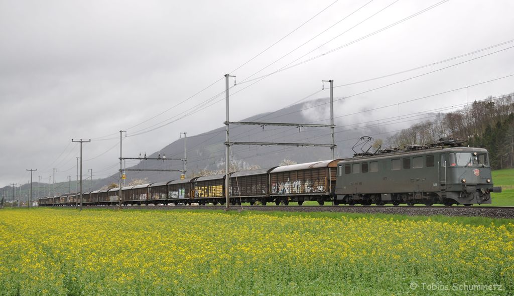 Ae 6/6 11743 am 24.04.2012 mit Gterzug bei Oensingen