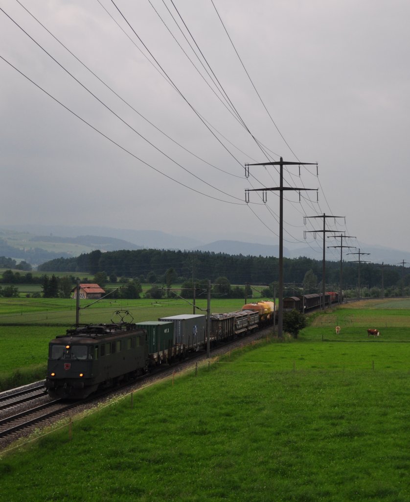Ae 6/6 mit GZ zwischen Rubigen und Gmligen am 15.06.2010