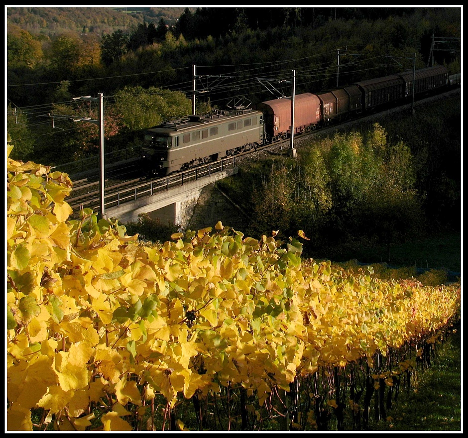 Ae 6/6 sucht das letzte abendliche Licht.
Villnachern Oktober 2008