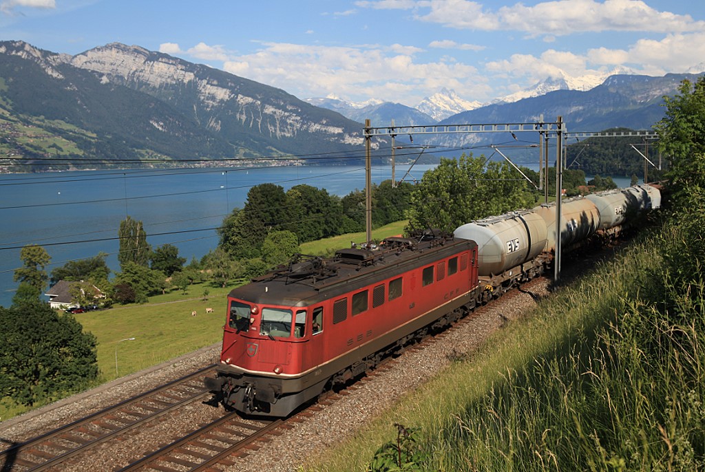 Ae6/6 11455 rollt zwischen Spiez und Thun bei Einigen am Thuner See entlang, 15.06.2012.