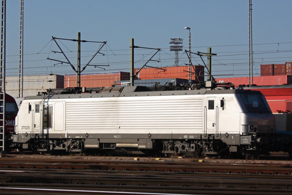 Akiem 37025 (i.E. fr HSL Logistics) steht am 23.10.11 abgestellt im Gbf Alte Sderelb in Hamburg-Walterhof.