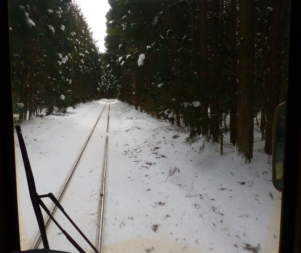 Akita Nairiku-Bahn, Nordabschnitt: weite Strecken fhren hier durch den prachtvollen nordjapanischen Wald, der im Schnee besonders geheimnisvoll wirkt. Bild aus dem Triebwagen 8805 zwischen nodai und Aikawa, 14.Februar 2013. 