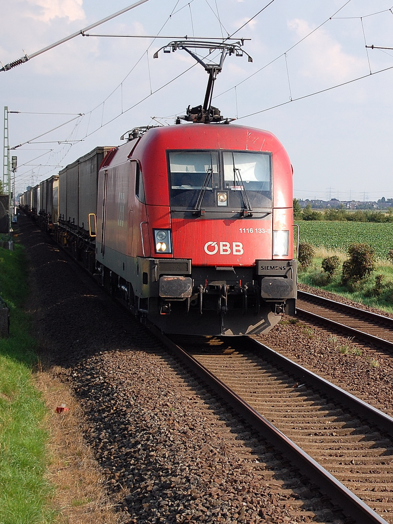 Allerheiligen heisst der Ort, an dem ich die Taurus fotografiert habe.
Lok 1116 133-8 der BB befrdert hier einen Containerzug von Kln kommend in Rchtung Neuss