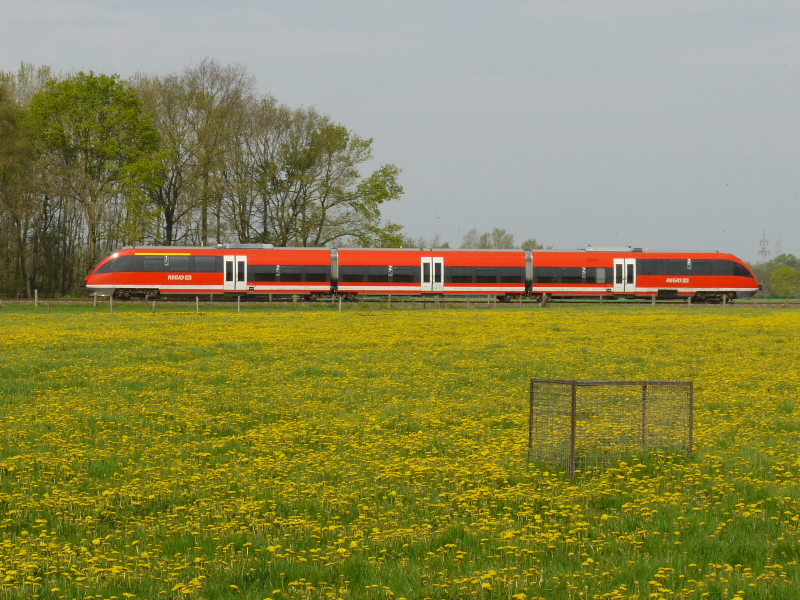 Als dann der 20237 aus Epe los fuhr konnten man sehr schn den Lwenzahn mit den Roten Talent 643 in Lasterfeld ablichten. 01.05.2012
