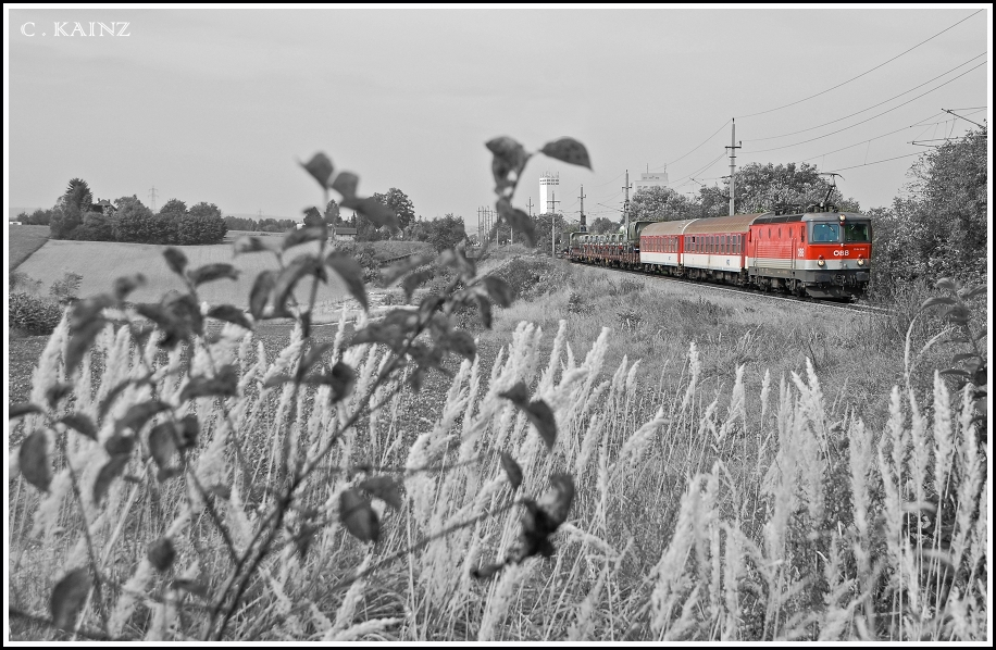 Als Ersatzlok fr die ursprnglich fr diesen Zug vorgesehene, und kurz vor der Abfahrt 

leider untauglich gewordene 1042 020, pirscht sich hier mit 1044 042 immerhin die 42er unter den 44ern :-) 

mit einem Militrzug und zwei slowakischen Begleitwagen durchs hohe, herbstliche Gras bei Ziersdorf an ...

PS: Hanspeter ist neben mir gestanden, und hat das dekorative Grnzeug verschmht :-) 
