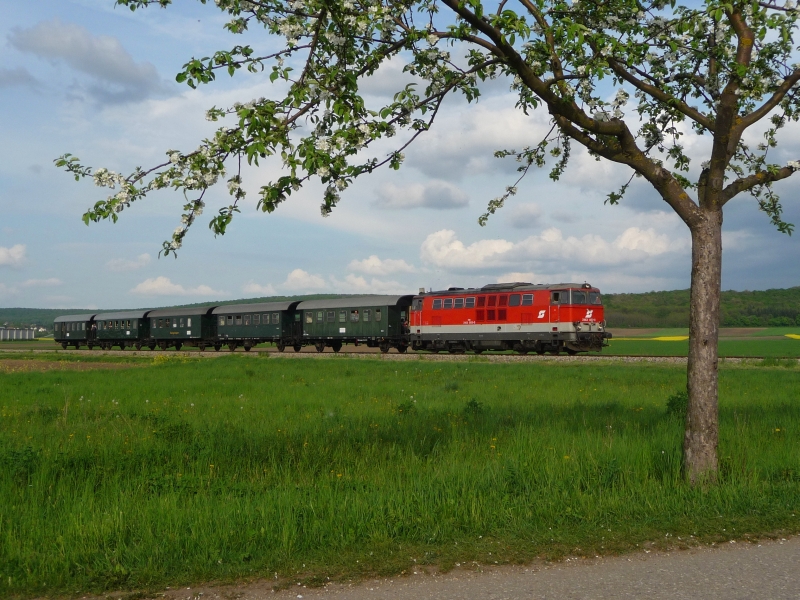 Als erster Nostalgiezug auf der Lokalbahn Korneuburg-Hohenau fuhr die 2143 053-3 am 01.05.2010 zwischen Korneuburg und Ernstbrunn. Hier unter einem blhenden Apfelbaum bei Harmannsdorf (01.05.2010).