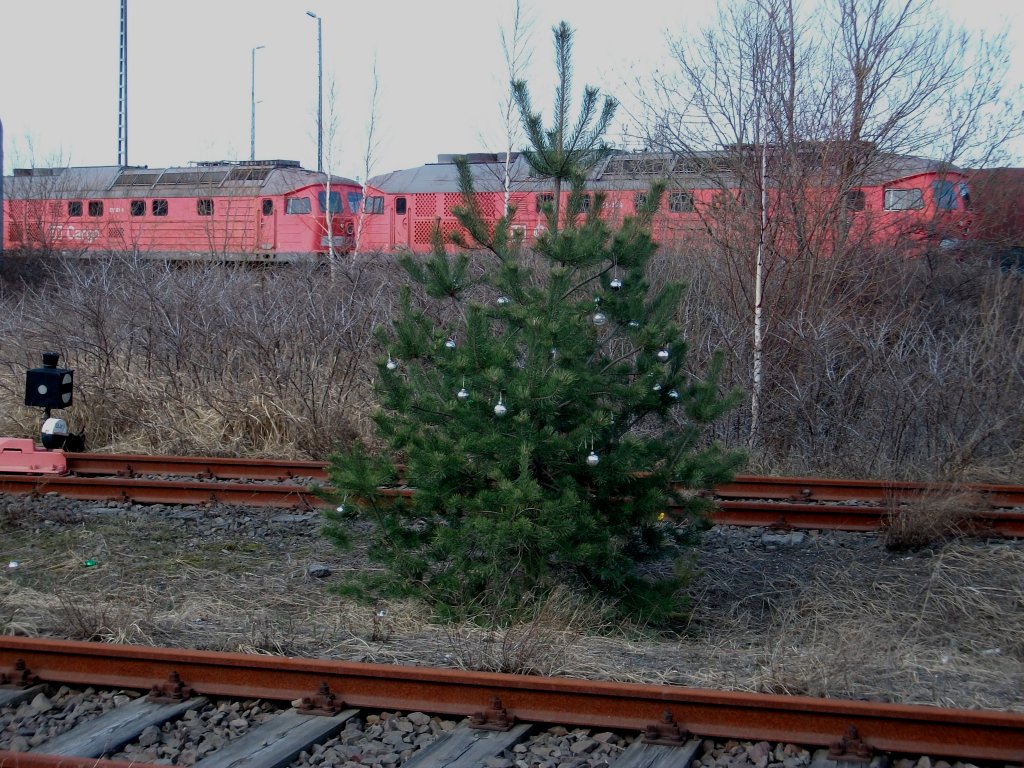 Als ich am 31.Mrz 2010 in Mukran war traute ich erst meine Augen nicht als ich dort im Gleis stehend diesen beschmckten Weihnachtsbaum sah.Na denn Frohe Ostern !