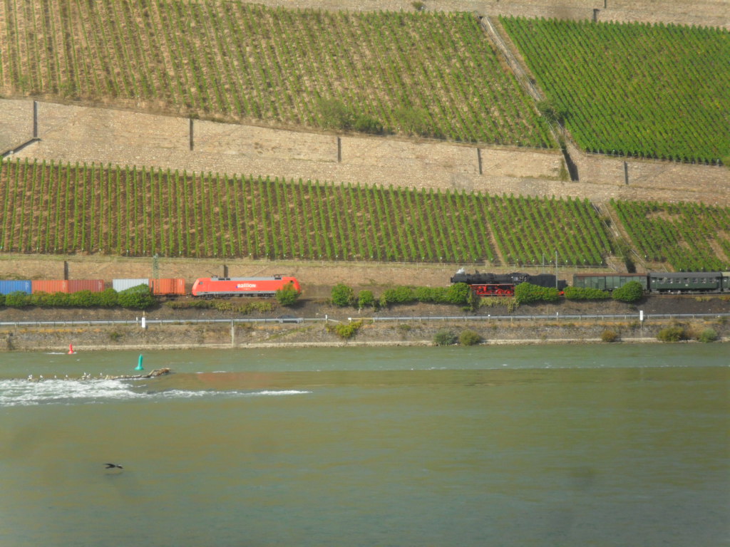 Als ich auf der anderen Rheinseite pltzlich einen Dampzug entdeckte, sprintete ich ans Ufer. Zufllig kam auch noch eine 152 mit einem Gterzug vorbei. Dieses Bild zeigt die beiden Zge kurz vor ihrer Begegnung. Aufgenommen am 15.09.2012 in Bingen.
Wenn jemand wei, was das fr eine Baureihe ist(kenn mich bei den Dampfloks nicht so aus) kann er mir gerne einen Kommentar schreiben.