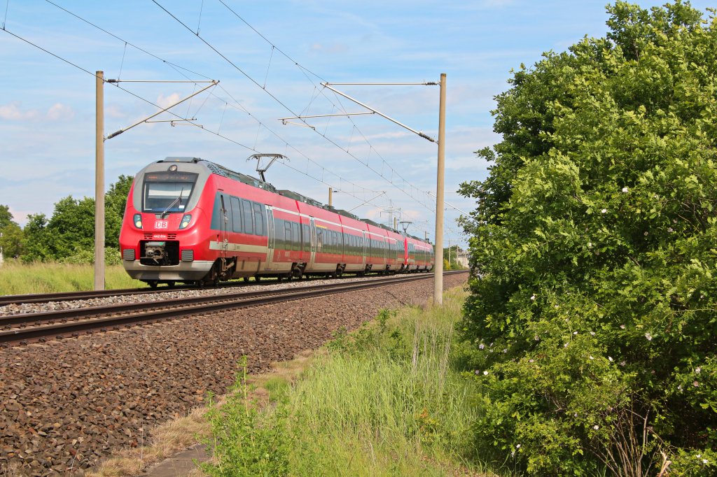 Als RE 17070   SAXONIA   sind 442 314/817 und 442 117/617 am 13.06.13 bei Bornitz Richtung Leipzig unterwegs.