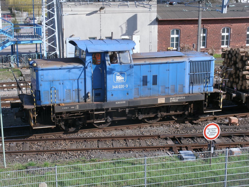 Als Schlulok fuhr die PRESS 346 020,am 25.April 2013,an einem Holzzug mit.Aufgenommen von der Fussgngerbrcke in Bergen/Rgen.