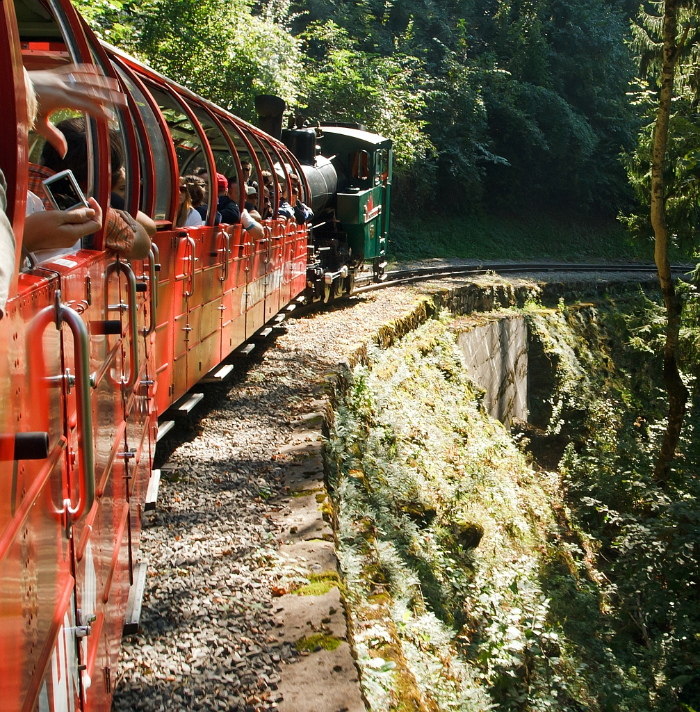Am 01.10.2011, zwischen Brienz und der Station Geldried, durch den Wald, auf Bergfahrt mit der Heizl BRB 16 zum Brienzer Rothorn.