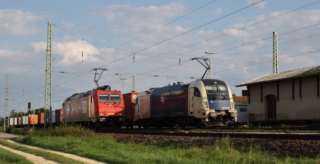 Am 05.09.2010 in Mangolding 1216 950(Wiener Lokalbahn Cargo GmbH) und 185 588 -1 .