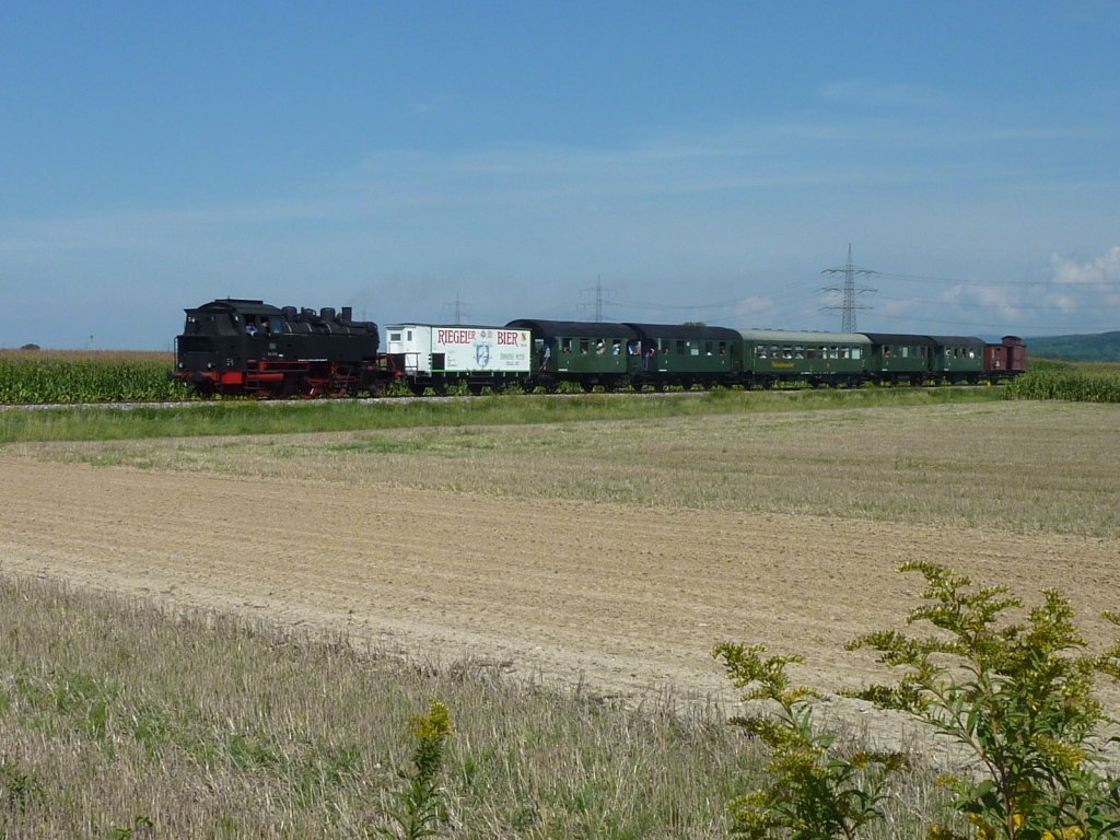 Am 05.09.2010 rollt 64 419 mit dem Rebenbummler durch die Felder zwischen Riegel und Endingen am Kaiserstuhl.