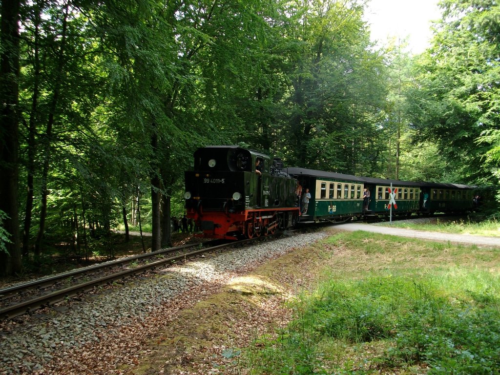 Am 06.Juli 2010 befand sich 99 4011 im schnsten Streckenabschnitt vom Rasenden Roland in der Granitz unweit vom Haltepunkt Jagdschlo.