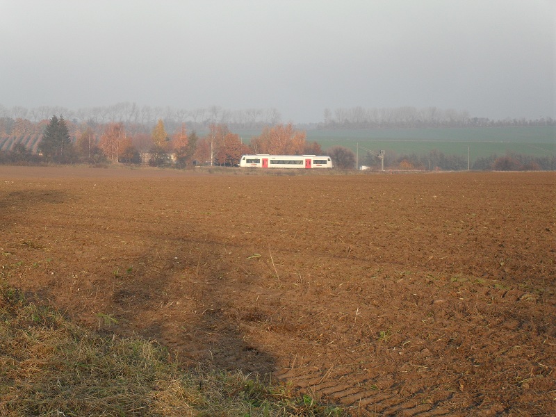 Am 07.11.2011 ist dieser Triebwagen der Mitteldeutschen Regionalbahn aus Halle (Saale) gekommen und fhrt nun schon einige Zeit ersatz- oder verstrkungsweise fr die Lint 41, bzw. Lint 27 Triebwagen der BR VT 648 um diese Zeit nach auf der KBS 330 nach Halberstadt.