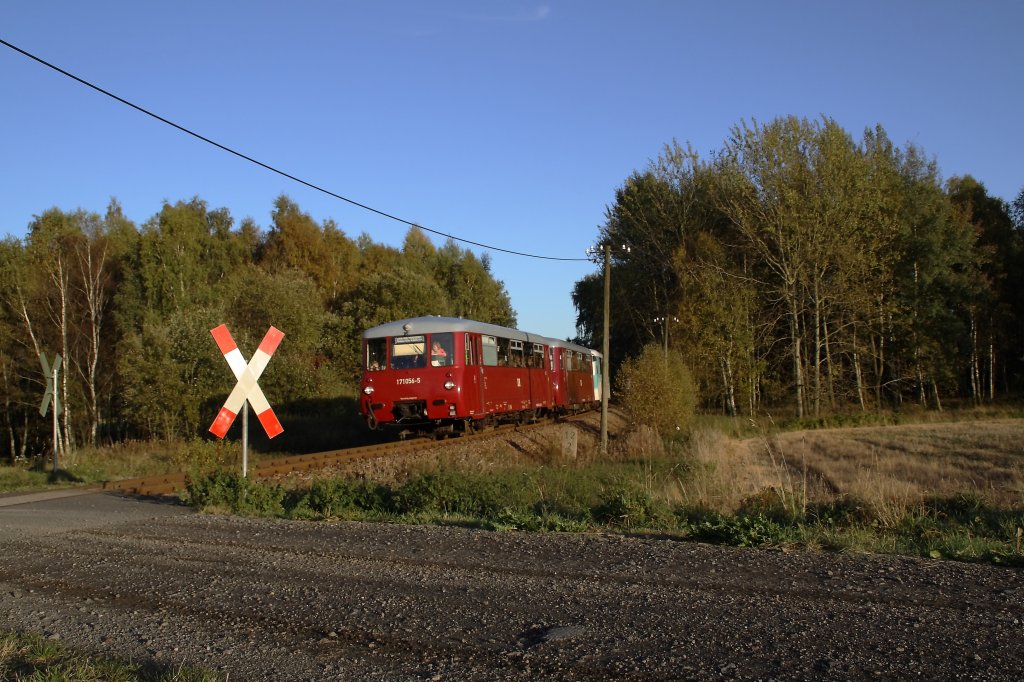Am 09.10.2011 waren die Ferkelktaxen der Ergebigischen Aussichtsbahn f�r dieses Jahr das letzte mal unterwegs. Die Triebwagen passieren den letzten der 4 �berwege aus Richtung des Bahnhofs Scheibenberg und tauchen gleich in den dunklen Herbstwald ein. Hier trennten sich einst die l�ngst abgebaute Strecke nach Zw�nitz von der Strecke nach Schwarzenberg. Die Strecke Zw�nitz Scheibenberg war weithin unter den Namen Obererzgebirgische Aussichtsbahn bekannt.

