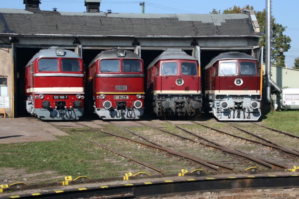 Am 09.und10.10.2010 fand im Eisenbahnmuseum Weimar der Saisonausklang unter dem Motto V300-Ludmilla Treffen statt.Vor dem Lokschuppen standen 131 072 und 130 101 neben den beiden Taigatrommeln 120 274 und 120 198.10.10.2010. 