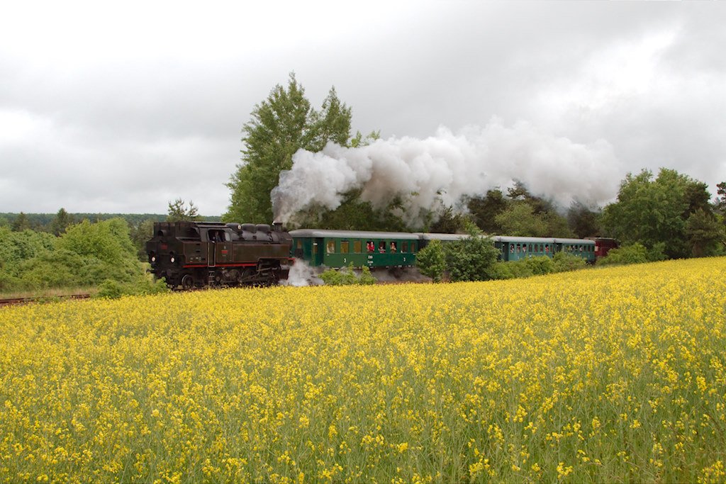 Am 1. und 2. Juni fuhren unter dem Motto  Mit dem nostalgischen Zug die Nachbarn besser kennenzulernen  zwei gut besuchte Sonderzge im sterreich-tschechischen Grenzgebiet, die beide mit der Dampflokomotive 433 001 bespannt waren. Diese Aufnahme zeigt den Zug vom 2. Juni auf der Fahrt von Retz nach nach Jemnice. Das Wetter war leider trb und regnerisch, doch bot sich hier die Gelegenheit, einen Zug auf der seit 2010 stillgelegten Strecke zwischen Moravsk Budějovice und Jemnice zu fotografieren. (02.06.2013)