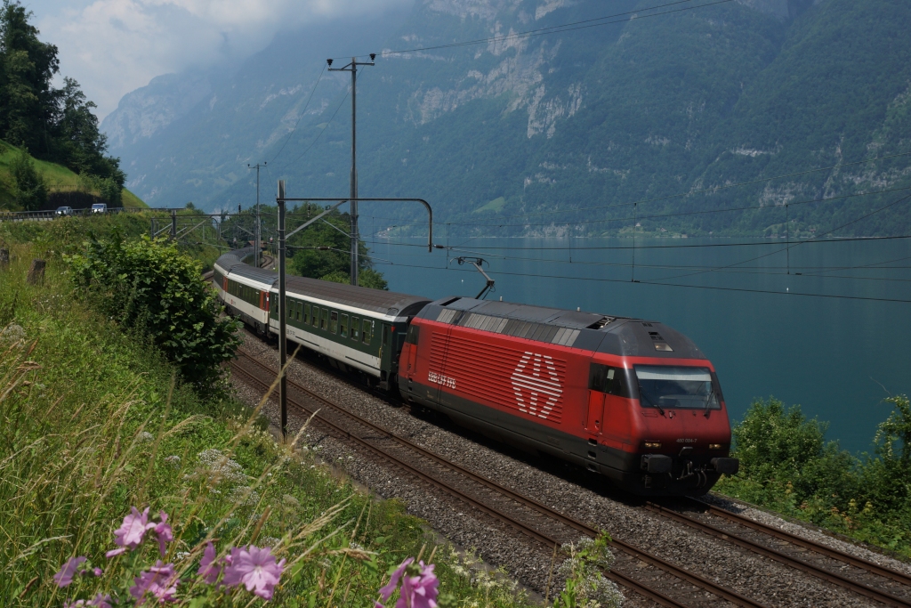 Am 10.07.2013 zieht die Re 460 084-7 den IR 1771 dem Walensee entlang Richtung Sargans. Das Bild wurde kurz vor Mols aufgenommen.