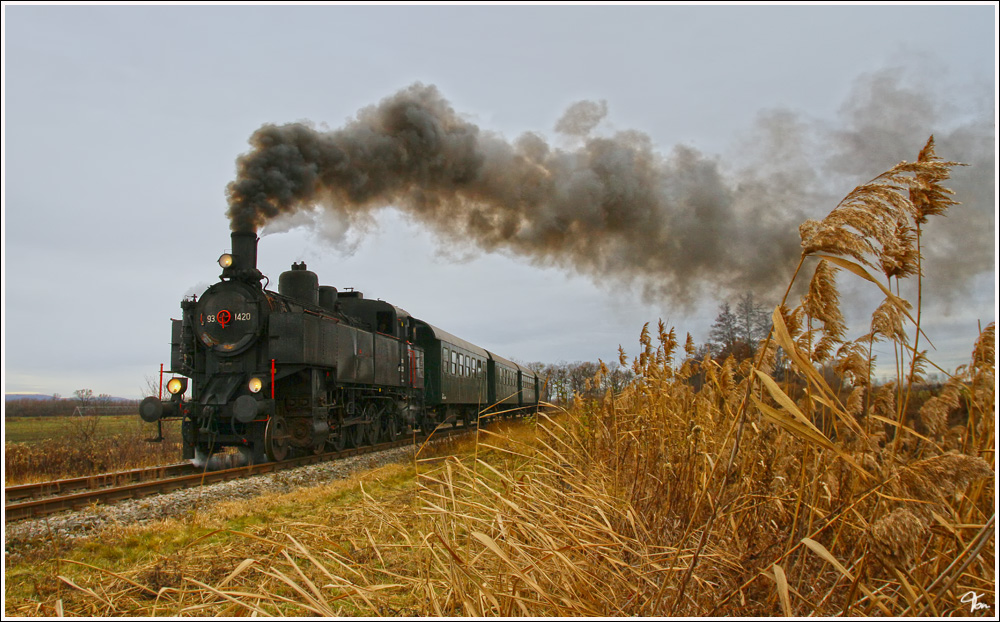 Am 10.12.2011 gab es im Pulkautal(Retz-Zellerndorf-Laa/Thaya-Mistelbach) einen Fotosonderzug.Bespannt wurde der Zug mit der Dampflok 93.1420 vom Verein Neue Landesbahn. 
Zwingendorf