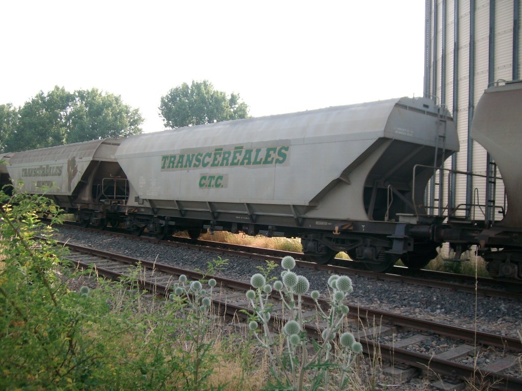 Am 11.7.10 standen 11 franzsische Getreidewagen.Bei diesen lautet die Aufschrift: TRANSCEREALES CTC.