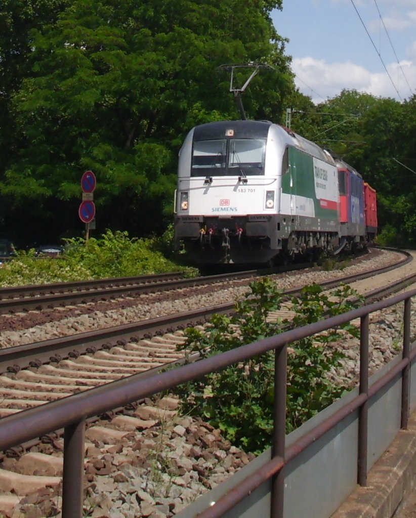 Am 12. Juni 2011 fuhr der Trains of Ideas Taurus zusammen mit einer SBB 421 
durch Rdesheim.