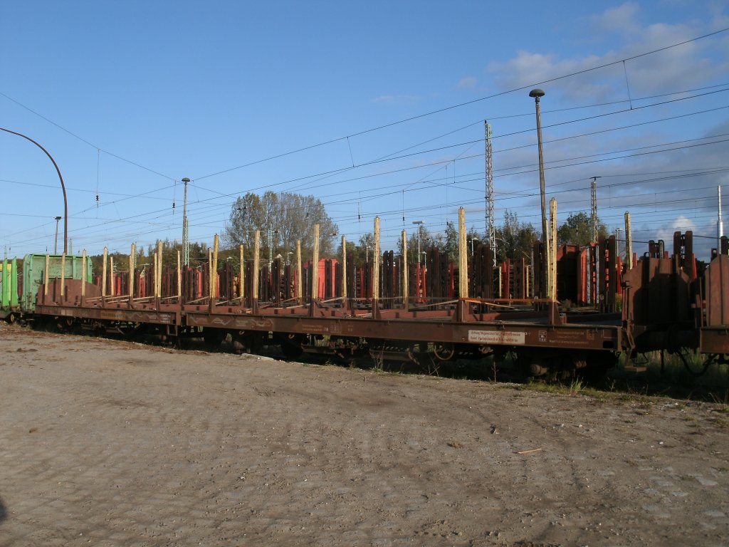 Am 12.Oktober 2011 wurde Holz auf diesen Laas-Wagen auf der Ladestrae in Bergen/Rgen verladen.