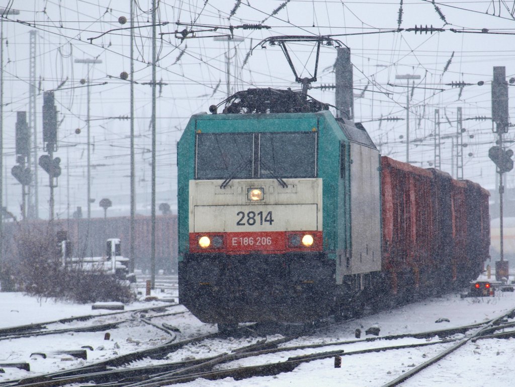 Am 13.01.2010 zieht die Cobra 186 206 bei Schneetreiben diesen langen Gterzug aus Aachen West nach Gremberg.