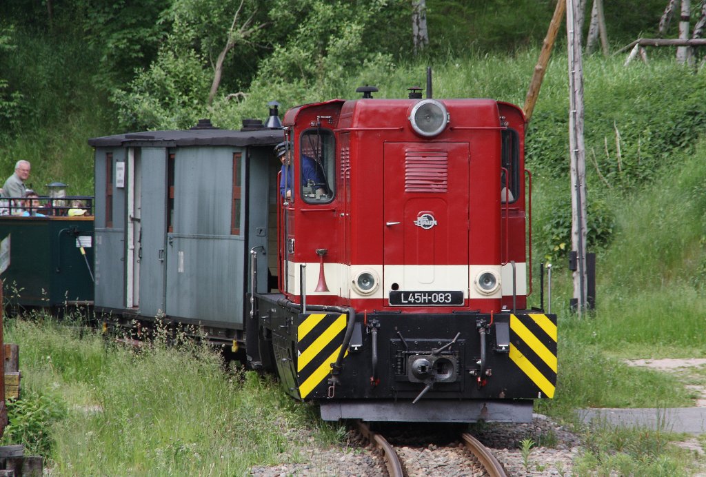Am 13.06.2010 ist L45H-083 zwischen den Hp Neulehn und Sttzengrn-Brstenfabrik unterwegs. 