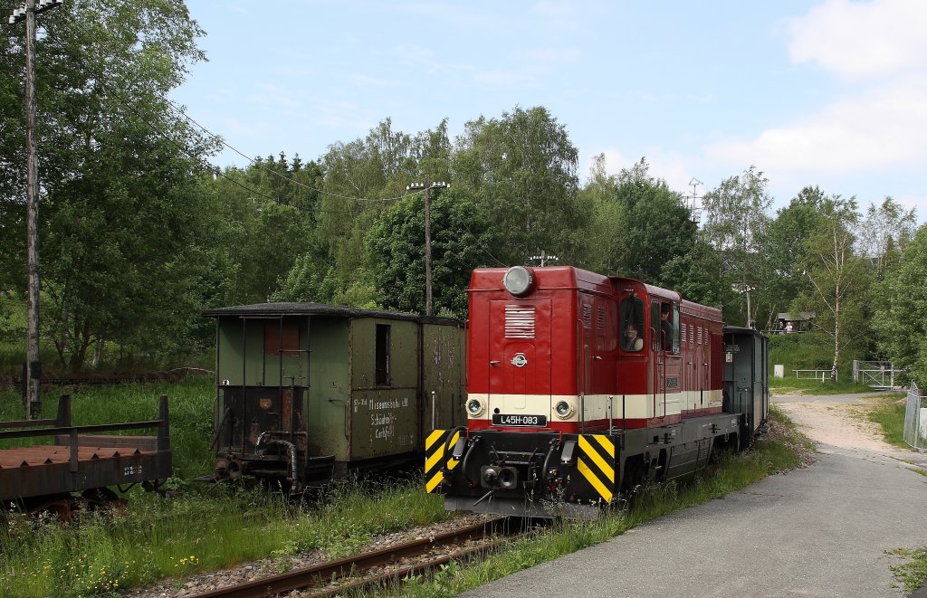 Am 13.06.2010 ist L45H-083 zwischen den Hp Neulehn und Sttzengrn-Brstenfabrik unterwegs. 