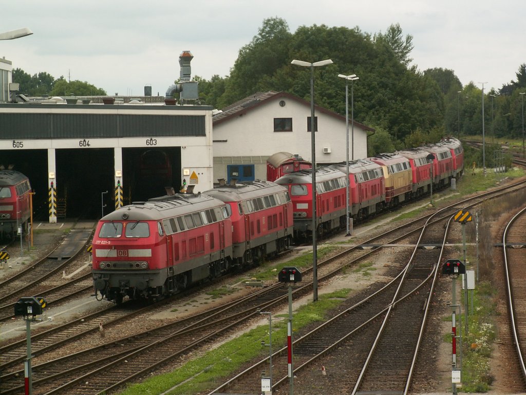 Am 13.8.2010 warten diese Loks in M�hldorf auf ihren n�chsten Einsatz.